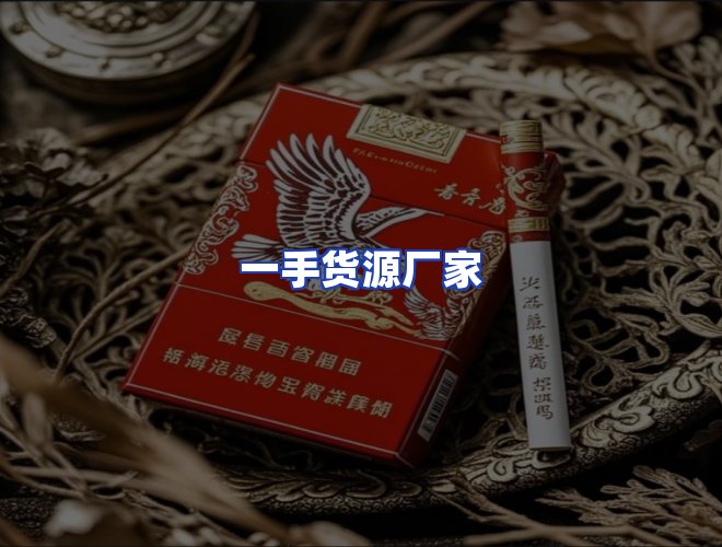 专业团队
